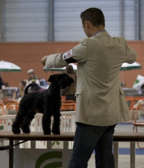 Sur la table de jugement